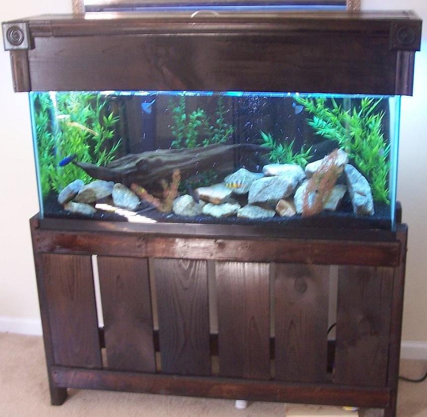 Rated #1358: 55 Gallons Freshwater Fish Tank - 55 gallon mixed malawi tank, with custom stand and canopy