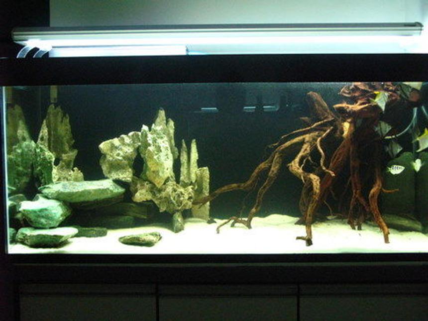 Rated #83: 75 Gallons Freshwater Fish Tank - Freshwater Tank with all natural real materials used.