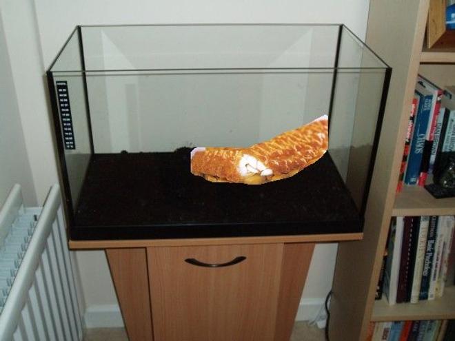 9999 gallons freshwater fish tank (mostly fish and non-living decorations) - Bobby my beloved COD fish