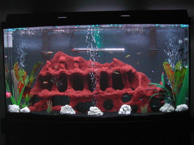 80 gallons freshwater fish tank (mostly fish and non-living decorations) - updated pic. moved some things around, more fish added, added some more plants (fake)