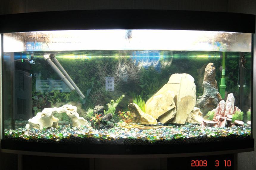 Rated #3474: 55 Gallons Freshwater Fish Tank - vision tropical tank