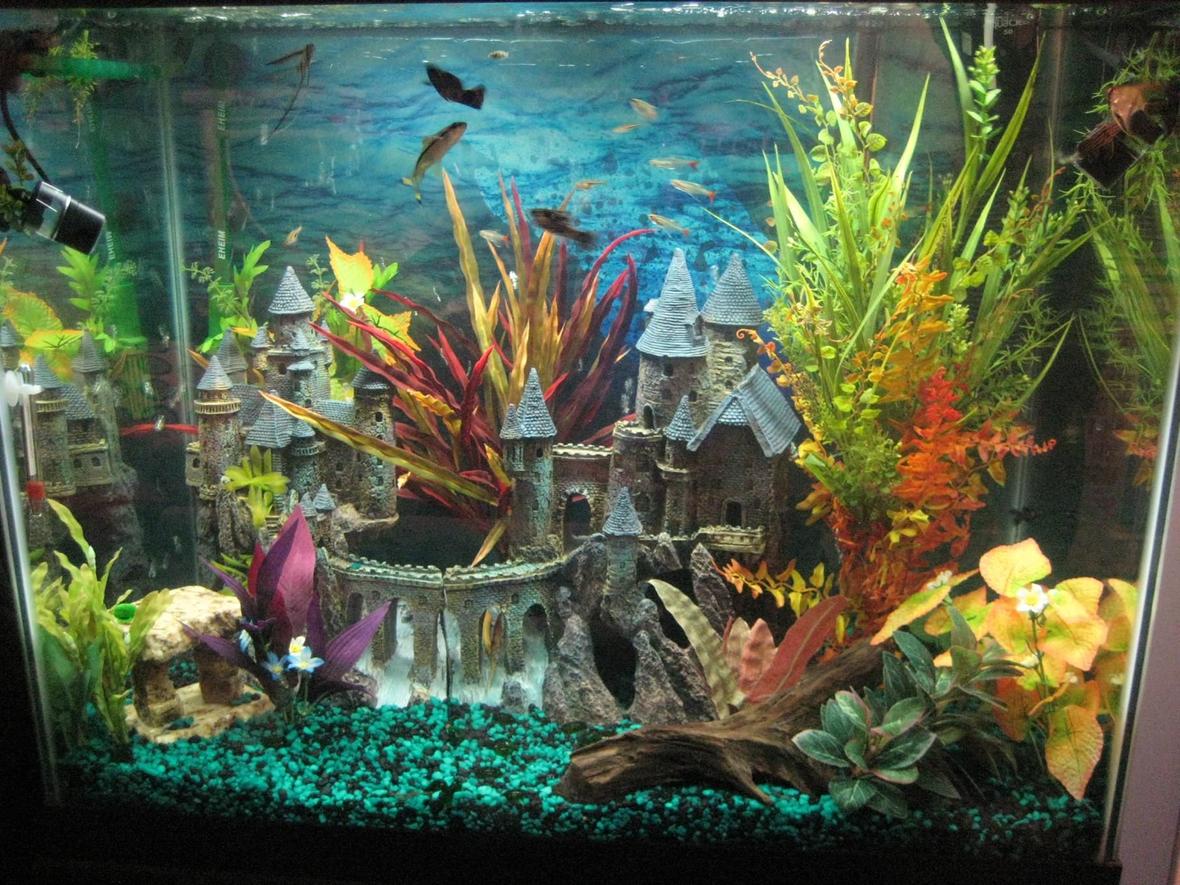 56 gallons freshwater fish tank (mostly fish and non-living decorations) - This is my tank up to date with the lights on :)