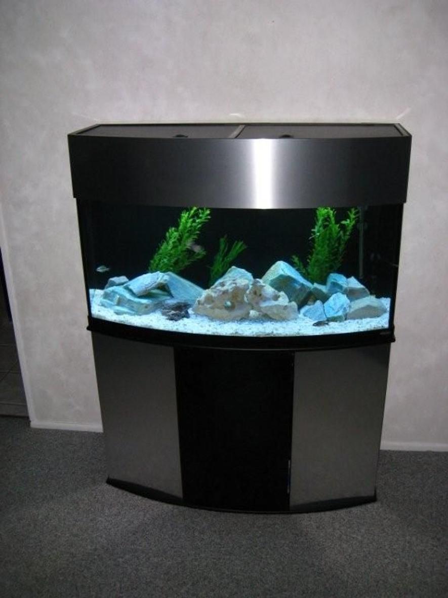 Rated #972: 90 Gallons Freshwater Fish Tank - Fresh Setup