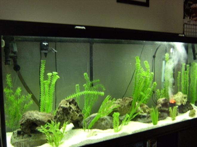 120 gallons saltwater fish tank (mostly fish, little/no live coral) - just getting started..... no fish yet...