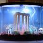 fish tank picture - my 30 gallon tank