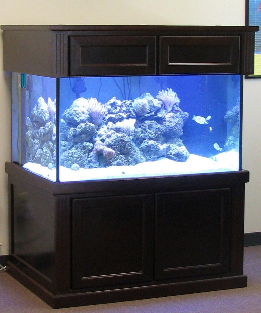 Rated #96: 500 Gallons Reef Tank - My Setup, 200 gallon with 50 gallon sump