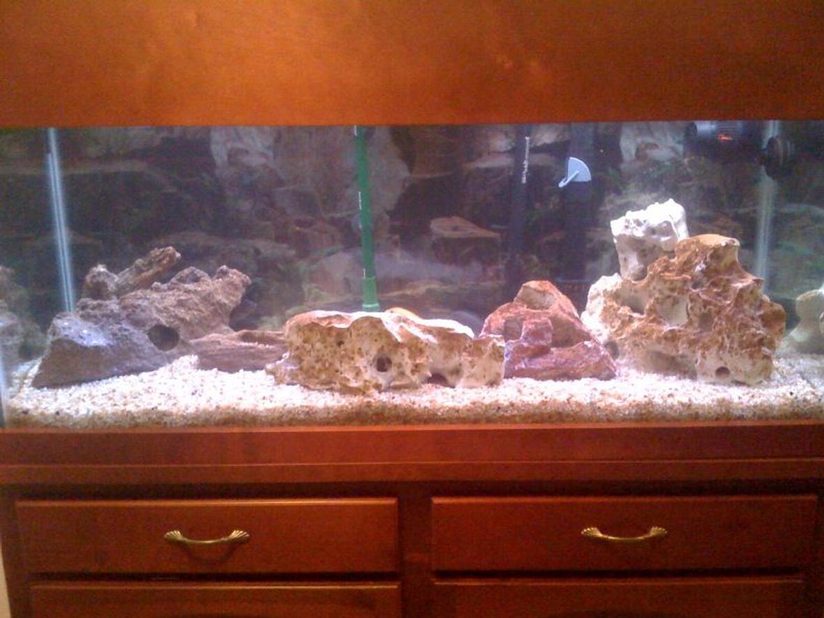 75 gallons freshwater fish tank (mostly fish and non-living decorations) - 75 Gallon African Chiclid tank. Fish are all hiding when the picture is taken. However, I have about 20 chiclids ranging in sizes between 2 inch to 6 inch. Just setup the new 75 gallon. As I retired my older 75 gallon tank.