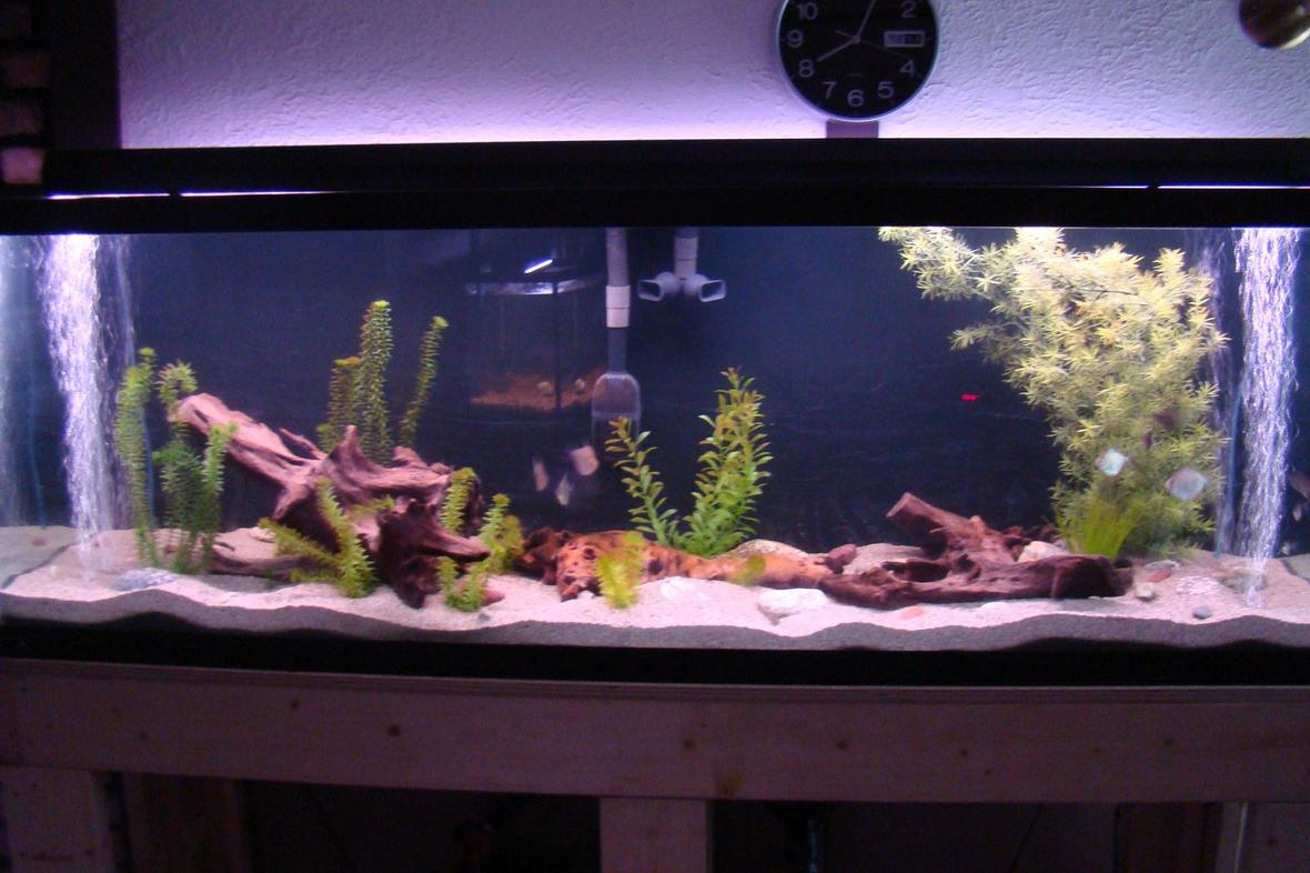 45 gallons freshwater fish tank (mostly fish and non-living decorations) - The 125Gal all set up. 2-300W aquaclear heaters hidden below, see heater module pics. Fluval FX5, Elite optima air. Standard lights, saving up for the good lights for some plants. Love the sand. Went with playsand and wont go back to gravel ever. The corys just seemed to love it right away. Still working on decor, going to go find some hardwood branches to try to make something up to hide the air lines and the intake and exhaust of the pump.