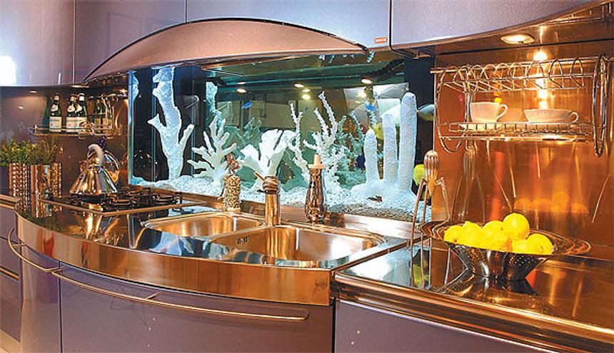 Rated #63: 56 Gallons Freshwater Fish Tank - Tank from Hitlers mansion in Germany