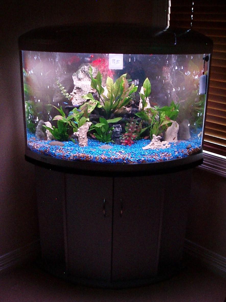 Rated #2788: 45 Gallons Freshwater Fish Tank - Aqua One, UFO 700 170liter tank. Not even close to being finished yet!