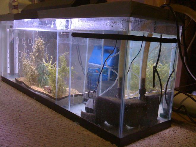 120 gallons saltwater fish tank (mostly fish, little/no live coral) - $80  fish tank hundred dollars  spend in Home Depot and 14 hours of labor. brand-new one coast over $1200 in  fish store.