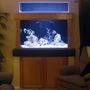 150 gallons saltwater fish tank (mostly fish, little/no live coral) -