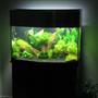 fish tank picture - Whole setup with top on