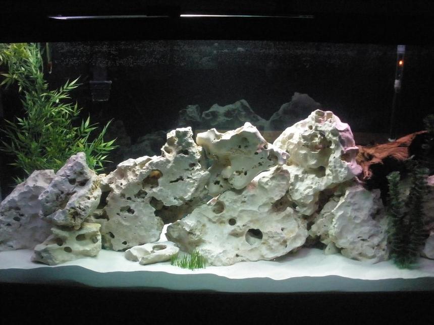 Rated #58: 160 Gallons Freshwater Fish Tank - Our new 160 gallon African tank....
