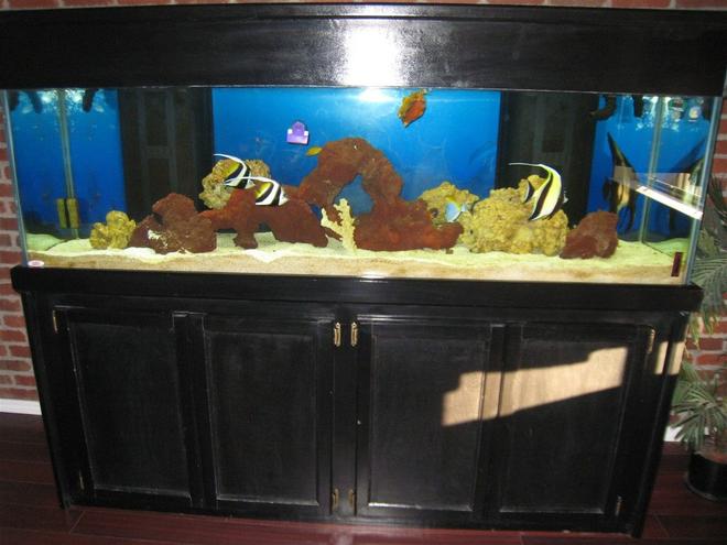 125 gallons saltwater fish tank (mostly fish, little/no live coral) - my 125