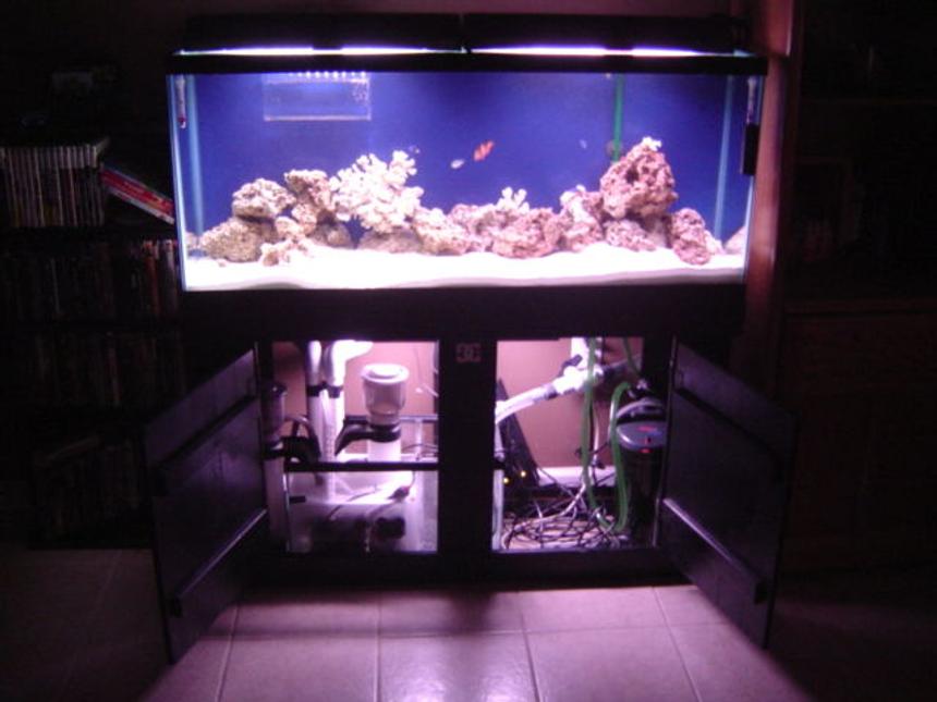 Rated #34: 95 Gallons Saltwater Fish Tank - 55 gallon saltwater
