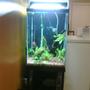 47 gallons planted tank (mostly live plants and fish) - 47G tall, planted about 1 month, not completed yet