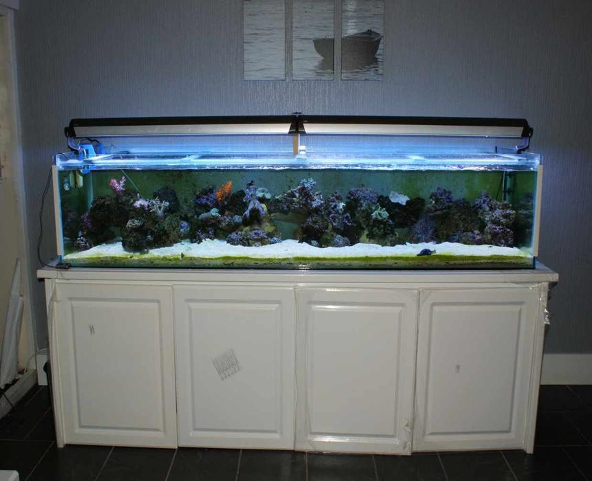 Rated #118: 275 Gallons Reef Tank - self build project no way near finished yet but its coming on what u think ?