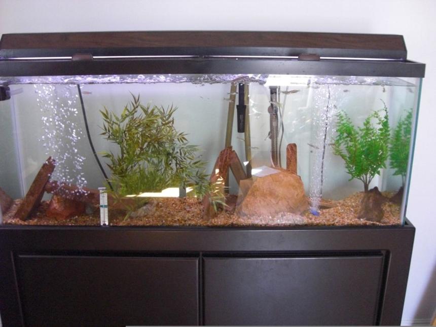 Rated #3853: 20 Gallons Freshwater Fish Tank - my 55 gal filter is a magmum 350 heater is 200 watts, 2 airstones, flagstone, 2 plastic plants
