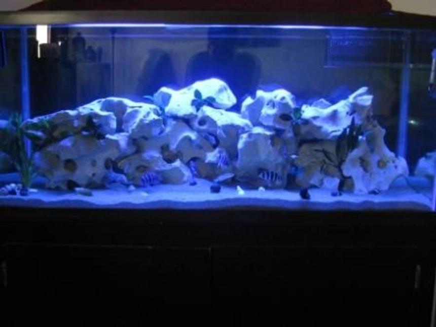 Rated #98: 75 Gallons Freshwater Fish Tank - Moon Lighting