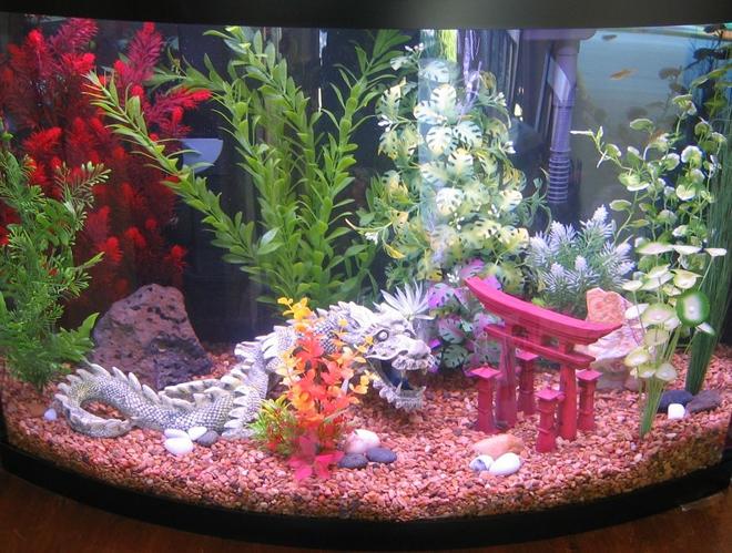 36 gallons freshwater fish tank (mostly fish and non-living decorations) - Tank in progress.  8 Zebra Danios for now.  Hasboras, Panda Cories, and Dwarf Neon Rainbows under consideration.
