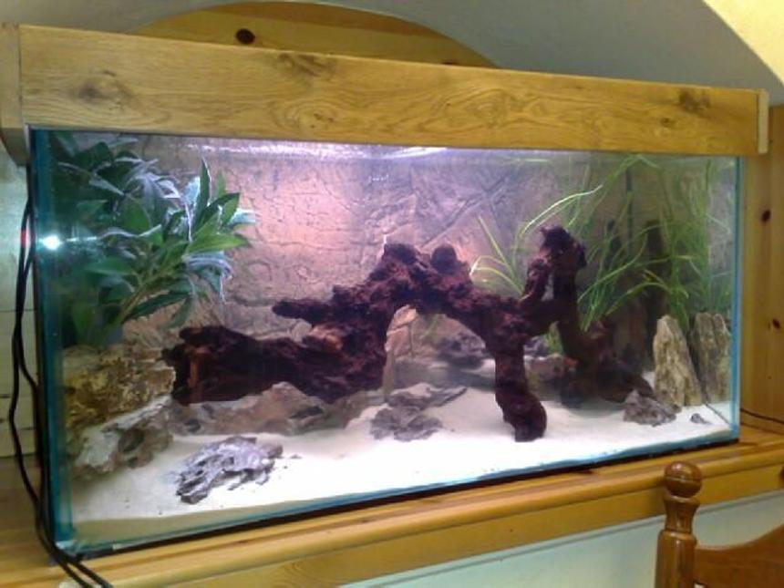 Rated #1110: 42 Gallons Freshwater Fish Tank - 36"x15"x18" First tank and have gone for a natural looking environment with Bogwood being a main feature. Just getting started with stocking, but the tetras seem very happy in there so far.