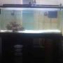 55 gallons saltwater fish tank (mostly fish, little/no live coral) - About to get started