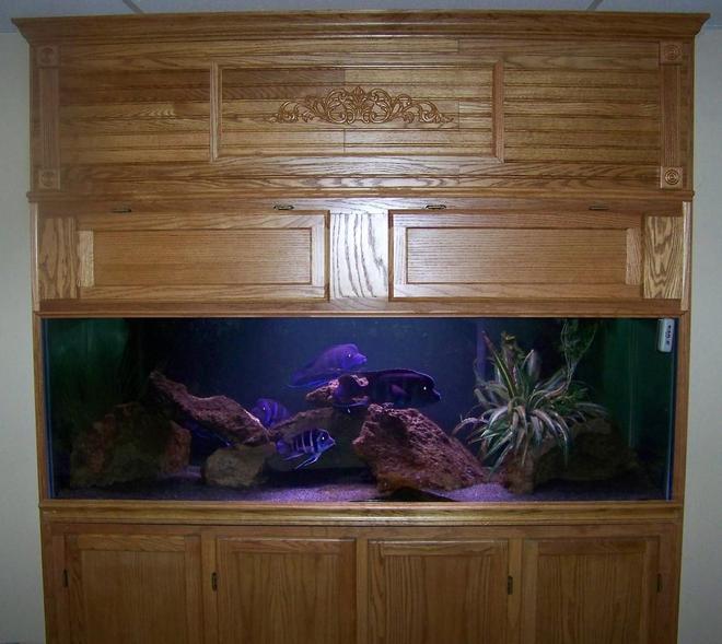 190 gallons freshwater fish tank (mostly fish and non-living decorations) - I have 190 gallon tank that is 72x24x26 that has a 3" reveal threw the wall into the room. It is on a 30" high stand and it has a canapy that goes from the top of the stand to the ceiling. It is filtered by 2 aquaclear 110 and is lit by two 36" strip. I have a group of 8 moba frontosa with the largest male in the group at around 12".