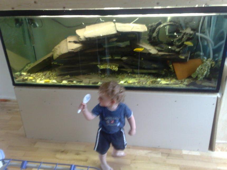 Rated #2866: 140 Gallons Freshwater Fish Tank - my tank