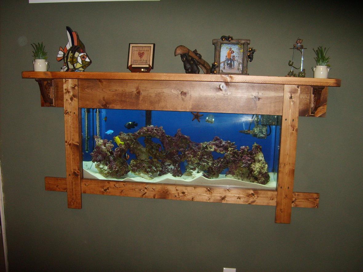 55 gallons saltwater fish tank (mostly fish, little/no live coral) - 55 Gallon FOWLR...recently mounted in wall.
