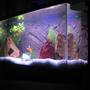 30 gallons freshwater fish tank (mostly fish and non-living decorations) - This is my first freshwater tank. 30 gal. Eheim Classic filter, Pangea Background insert, Power-Glo florescent, Moonglow LEDs, white gravel.