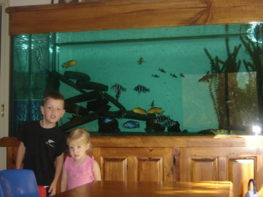 Rated #2113: 225 Gallons Freshwater Fish Tank - My Children in Front of my baby Aquarium.