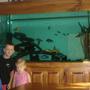 225 gallons freshwater fish tank (mostly fish and non-living decorations) - My Children in Front of my baby Aquarium.
