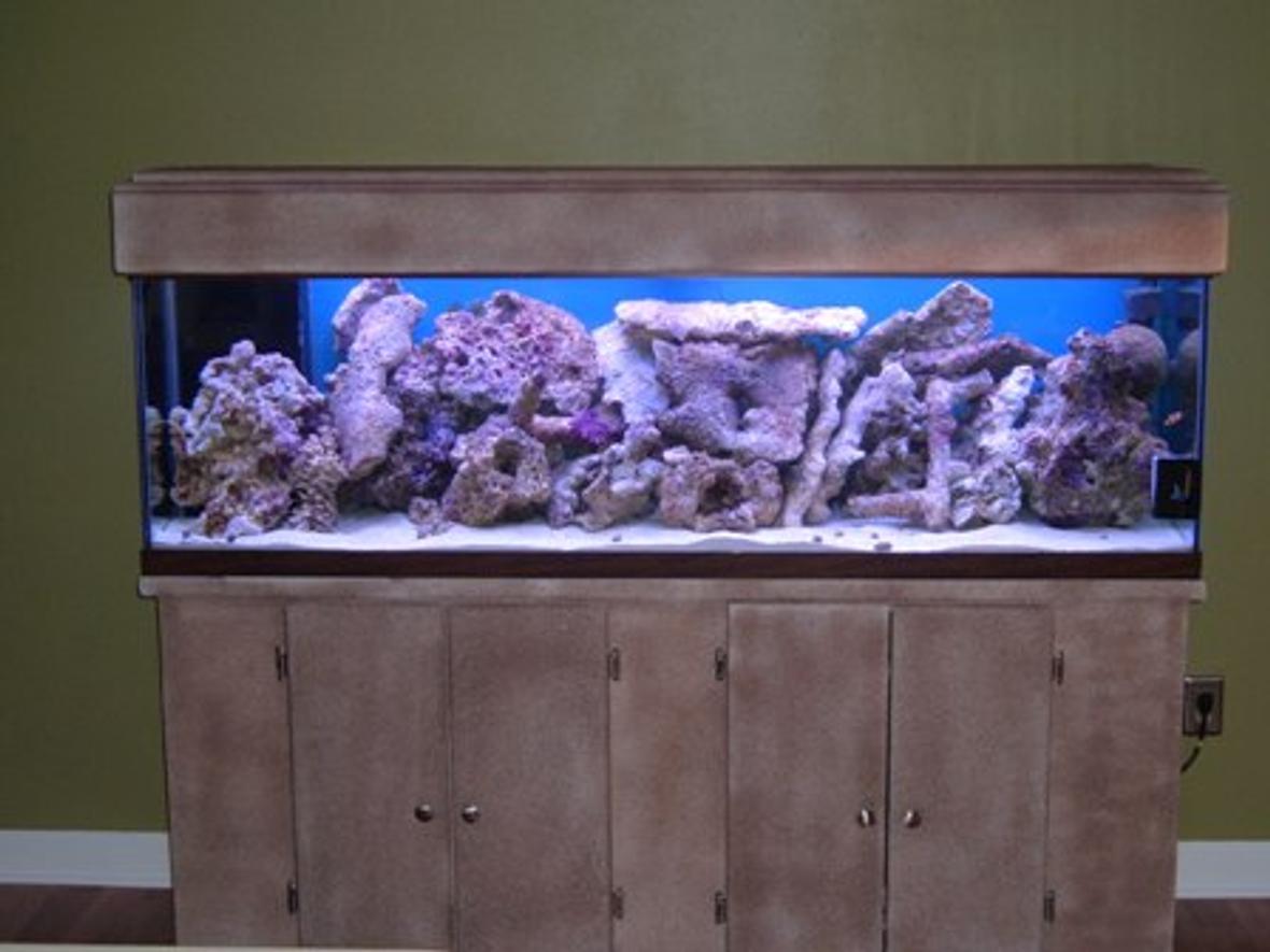 125 gallons saltwater fish tank (mostly fish, little/no live coral) - New tank. Just getting started