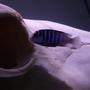 freshwater fish - labidochromis chisumulae stocking in 55 gallons tank - Labidochromis chisumulae