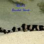 saltwater fish - chiloscyllium punctatum - cat shark, black banded stocking in 300 gallons tank - Banded Shark