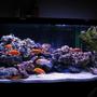 90 gallons freshwater fish tank (mostly fish and non-living decorations) - Latest setup, added more rocks, stronger powerhead