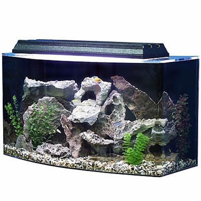 30 gallons reef tank (mostly live coral and fish) - my best tank