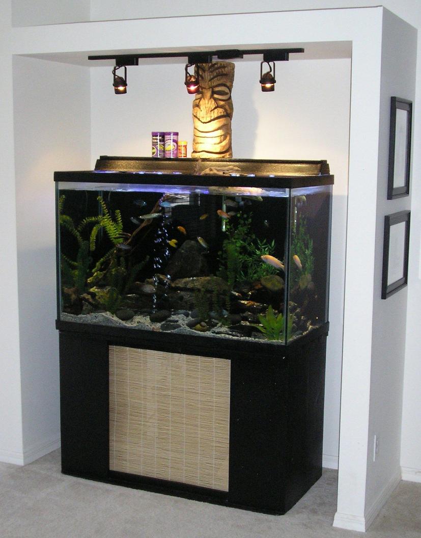 Rated #13: 29 Gallons Freshwater Fish Tank - This was my 150 freshwater tank. Dimensions are 48x24x31. Stuffed with chichlids, babies everywhere. 150 lbs of rock and driftwood that I had found myself. A mixture of different chichlid sands. A few fake plants for color. Fluval FX5 canister filter, a 600 gph koralia powerhead for circulation. Two 48" 40w T-8 10K and Actinic for color. 3 x 50w of xenon halogen lighting, gave a nice shimmering effect.