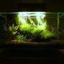 6 gallons planted tank (mostly live plants and fish) - Planted Fluval EDGE Nano Aquarium