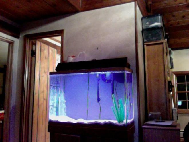 45 gallons freshwater fish tank (mostly fish and non-living decorations) - sorry i havnt really updated but i have a 45 gal and a 75 right now my fish are getting big so im moving  them into the 75 gal in the 75 are 3 red hocked silver 1 and a oscar sucker fish one big one small and two other fish in the 45 gal