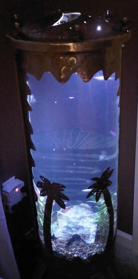 fish tank picture - The Water between the Trees and the Sun