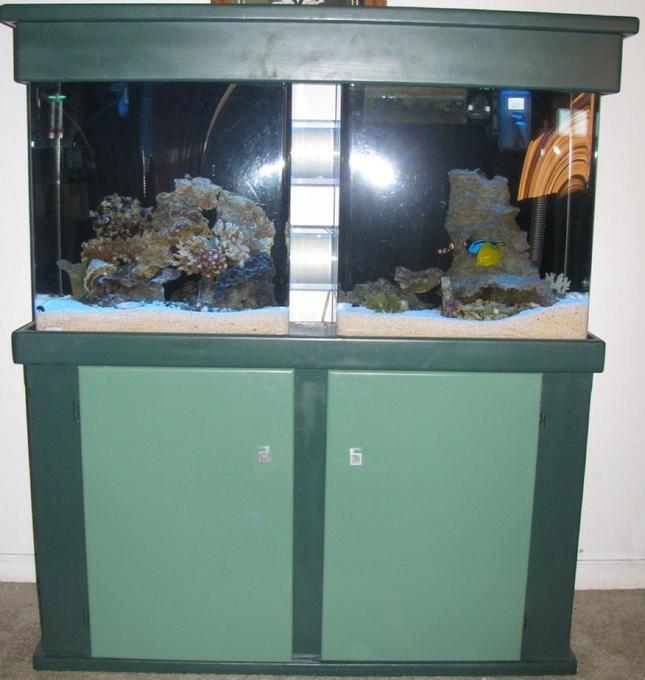 55 gallons saltwater fish tank (mostly fish, little/no live coral) - 80 gallon tube tank