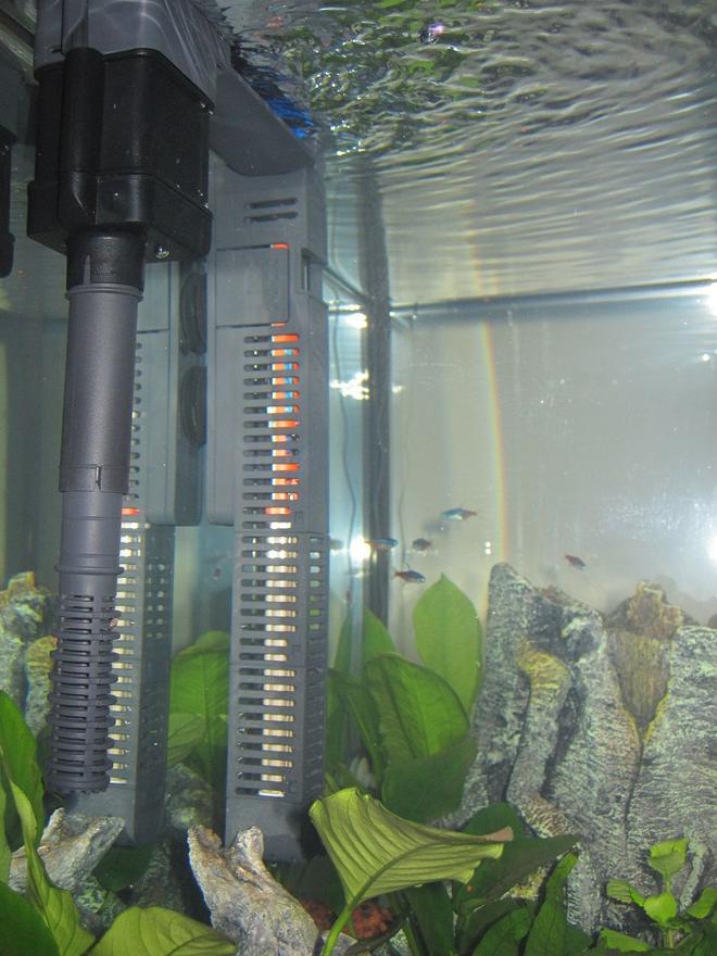 16 gallons freshwater fish tank (mostly fish and non-living decorations) - Filter and Heater