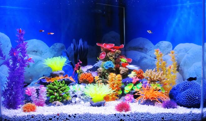 75 gallons freshwater fish tank (mostly fish and non-living decorations) - 80 gallon freshwater pentagon corner tank up and running. Just added 36" flourescent light and hood. Fluval 405 canister filter. Fake coral scene. Added 18" bubble wand with whisper 100... Added LOTS of circulation to my tank. Fish are much happier now.