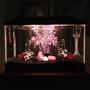 10 gallons freshwater fish tank (mostly fish and non-living decorations) - My 10 gallon ''Goth Bar'' tank - I know it''s kind of different looking, but I hope people enjoy it anyway.