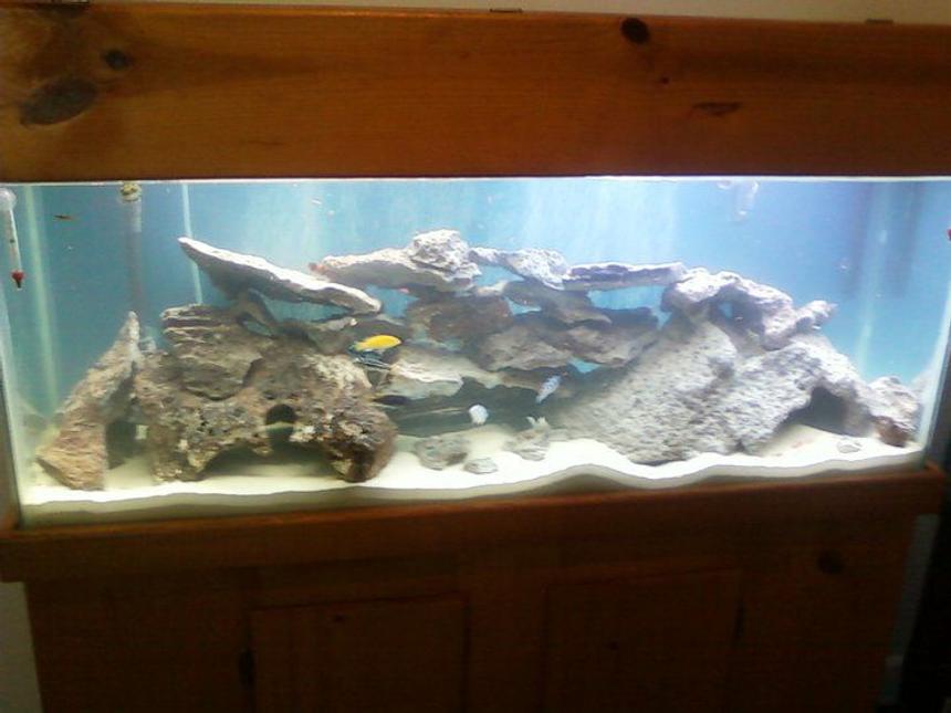 Rated #1702: 55 Gallons Freshwater Fish Tank - Fish Tank