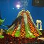 fish tank picture - the algae eater love the volcano