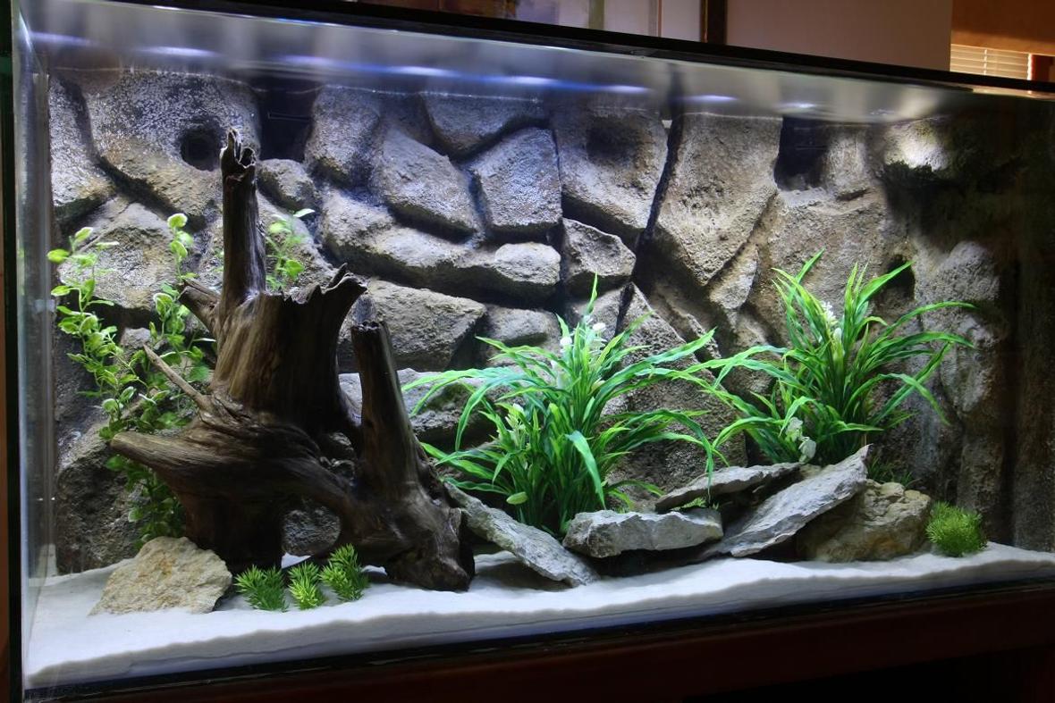 fish tank picture - 90 gallon completely home-made