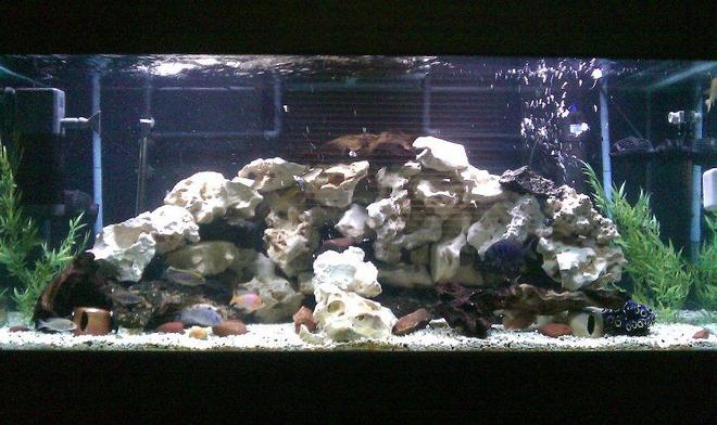 150 gallons freshwater fish tank (mostly fish and non-living decorations) - Same tank, but replace 110 lbs of lava rock withe 110 lbs of Texas holey rock. And put 2 wavemaker for extra current